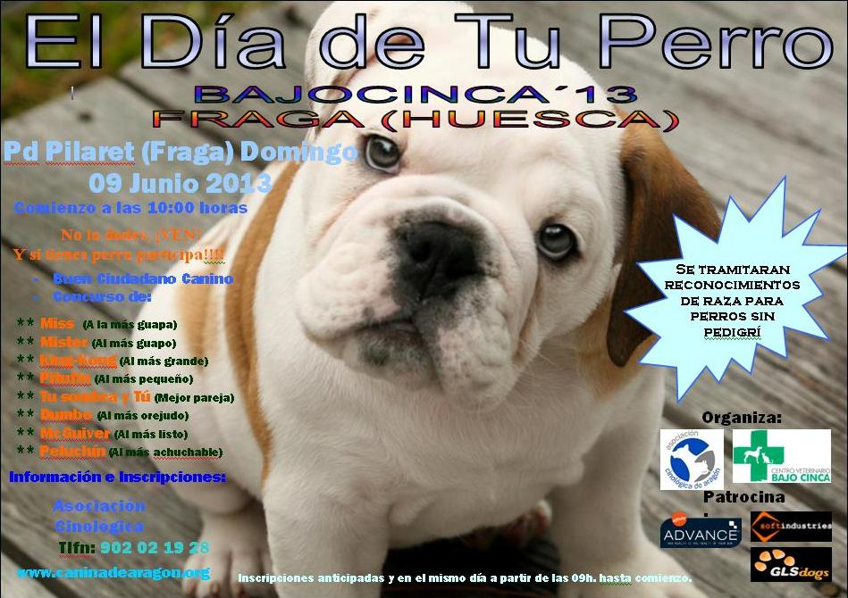 El Día de Tu Perro - Bajocinca 2013 El Día de Tu Perro - Bajocinca 2013